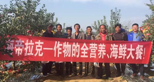 苹果树12月管理技术要点！抓紧时间看
